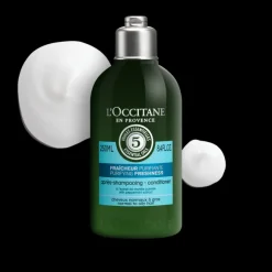 Après-Shampoing Fraicheur Purifiante 250Ml