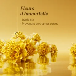 Éco-Recharge Immortelle Reset Nuit Huile-En-Sérum