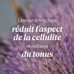 Crème De Massage Artichaut