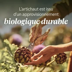 Crème De Massage Artichaut