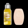 Duo Shampoing Solide Reparation Intense Et Huile De Douche Amande