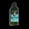 Shampoing Fraicheur Purifiante 300Ml
