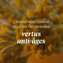 Sérum-En-Crème Immortelle Karite Cou 50Ml